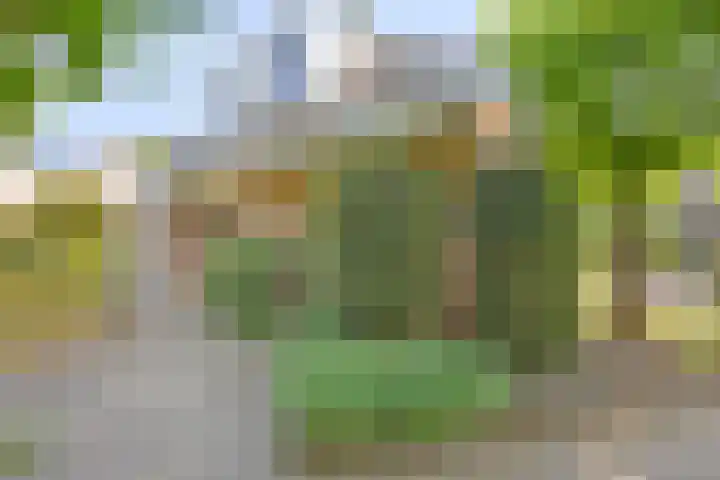 Gentiaan 6 Gendringen thumbnail 32