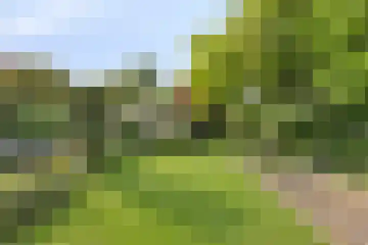Gentiaan 6 Gendringen thumbnail 35