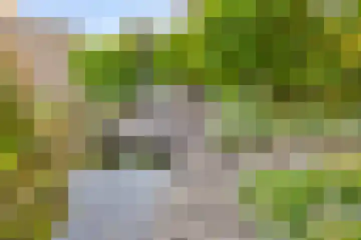 Gentiaan 6 Gendringen thumbnail 37