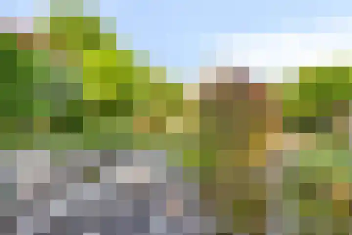 Gentiaan 6 Gendringen thumbnail 38