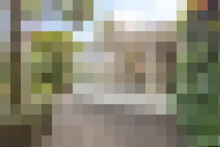 Gentiaan 6 Gendringen thumbnail 39