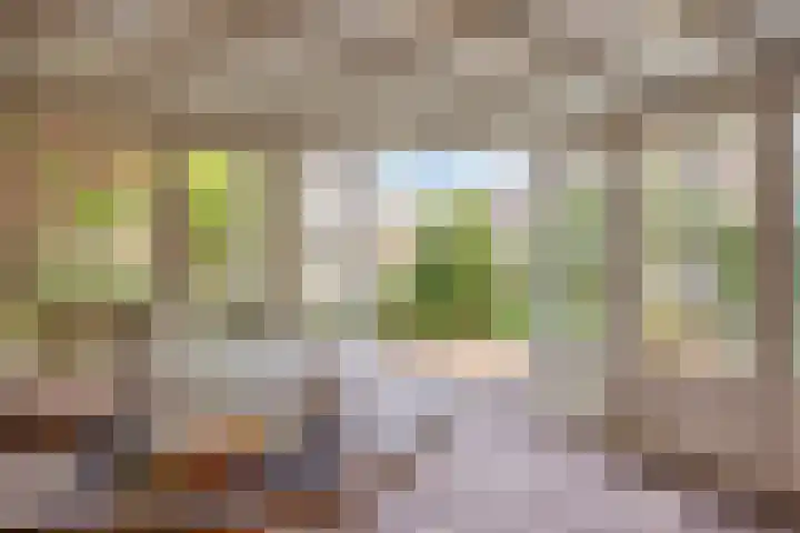 Gentiaan 6 Gendringen thumbnail 44