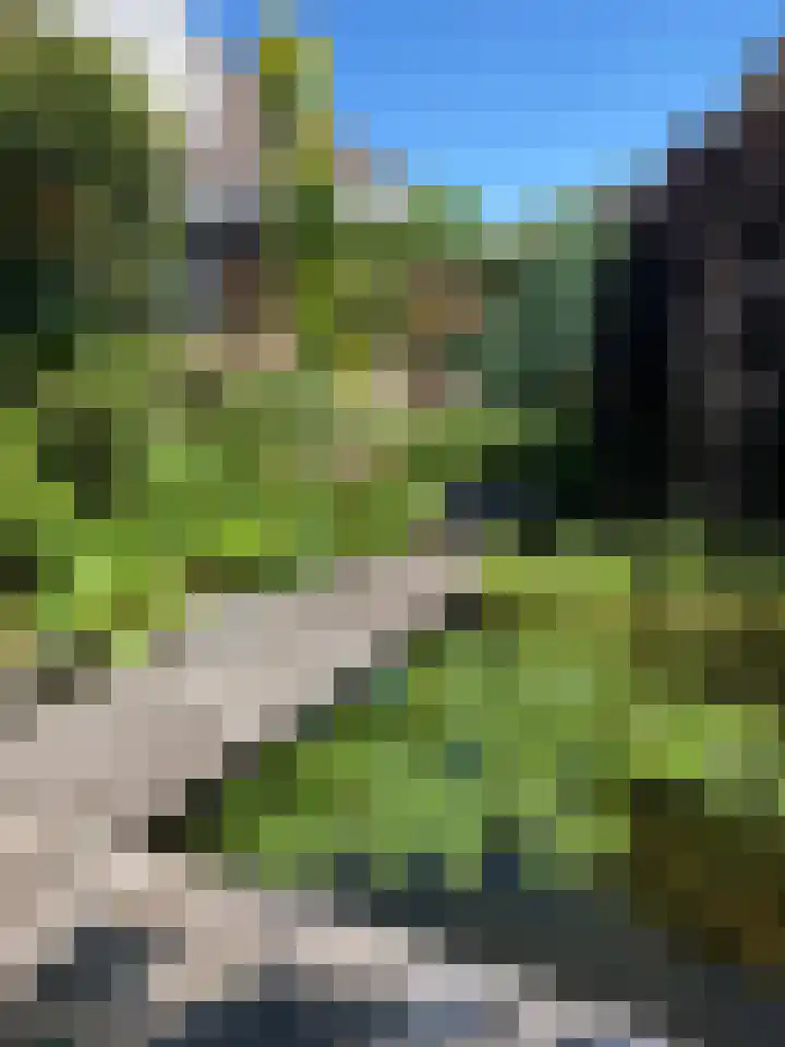 Gentiaan 6 Gendringen thumbnail 46