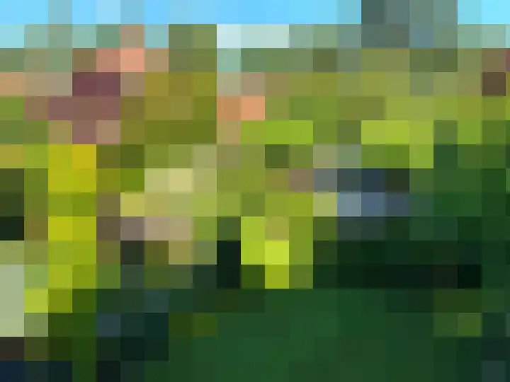 Gentiaan 6 Gendringen thumbnail 47