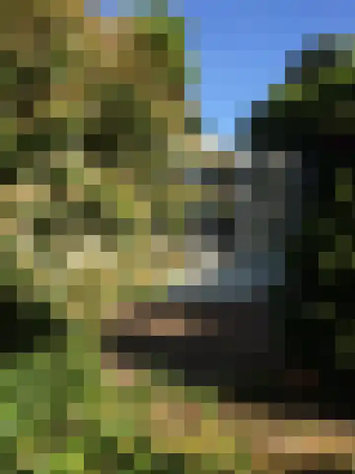 Gentiaan 6 Gendringen thumbnail 48
