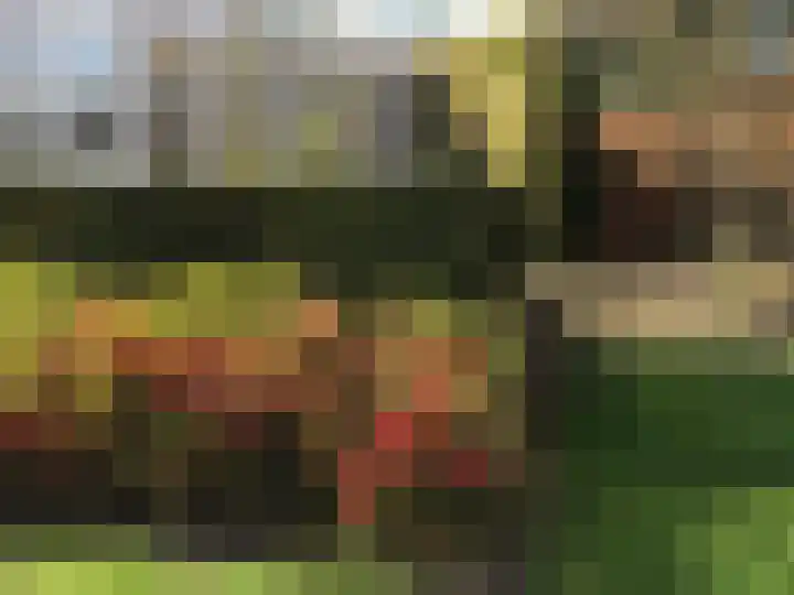 Gentiaan 6 Gendringen thumbnail 49