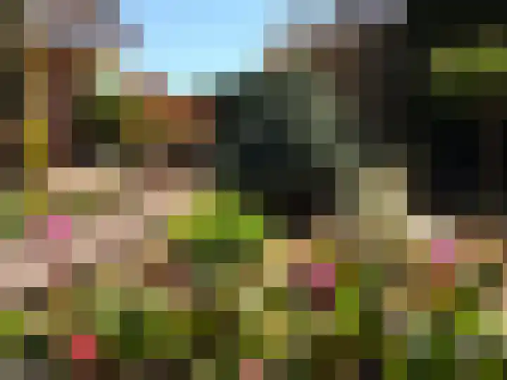 Gentiaan 6 Gendringen thumbnail 50