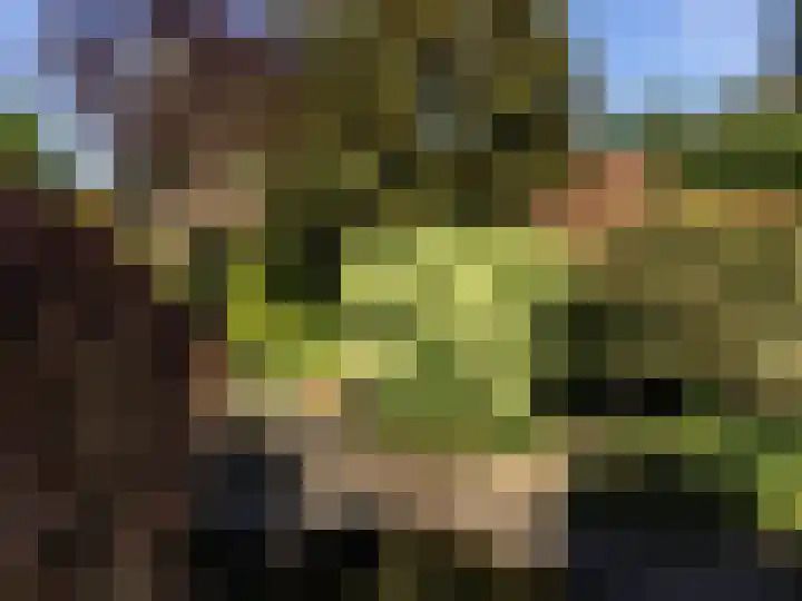 Gentiaan 6 Gendringen thumbnail 53