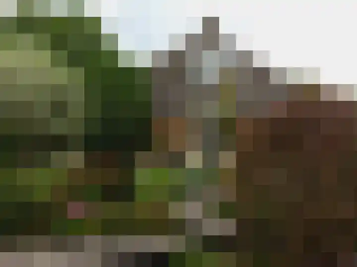 Gentiaan 6 Gendringen thumbnail 54
