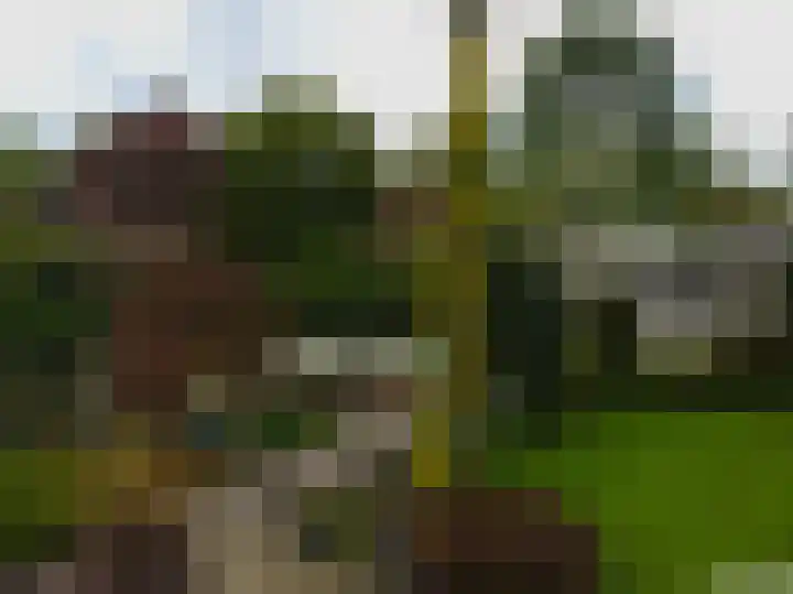 Gentiaan 6 Gendringen thumbnail 55