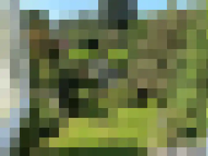 Gentiaan 6 Gendringen thumbnail 58