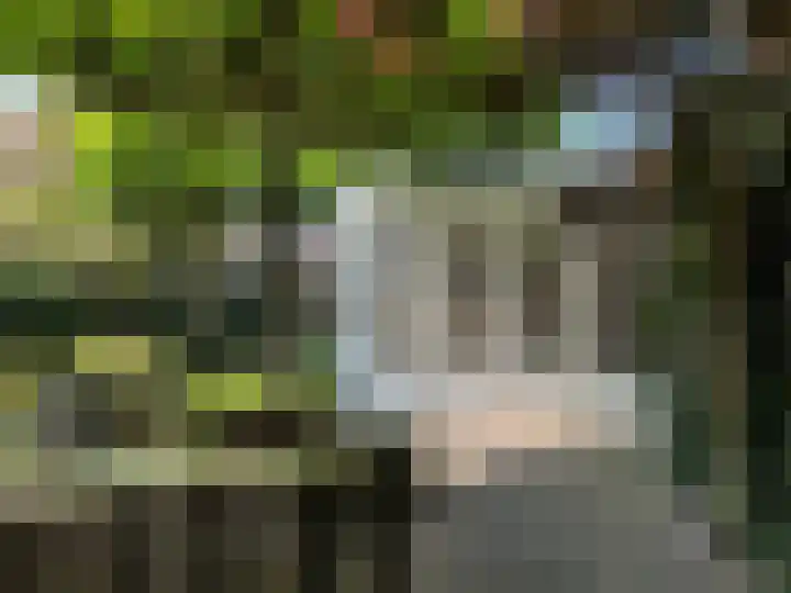 Gentiaan 6 Gendringen thumbnail 60