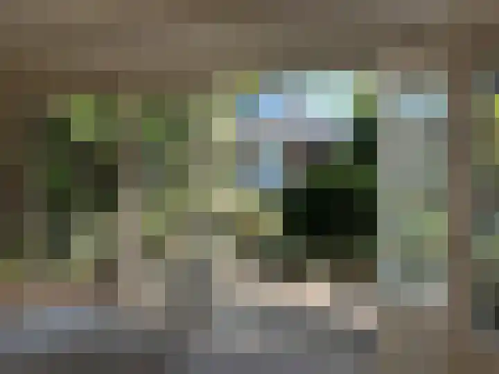 Gentiaan 6 Gendringen thumbnail 61