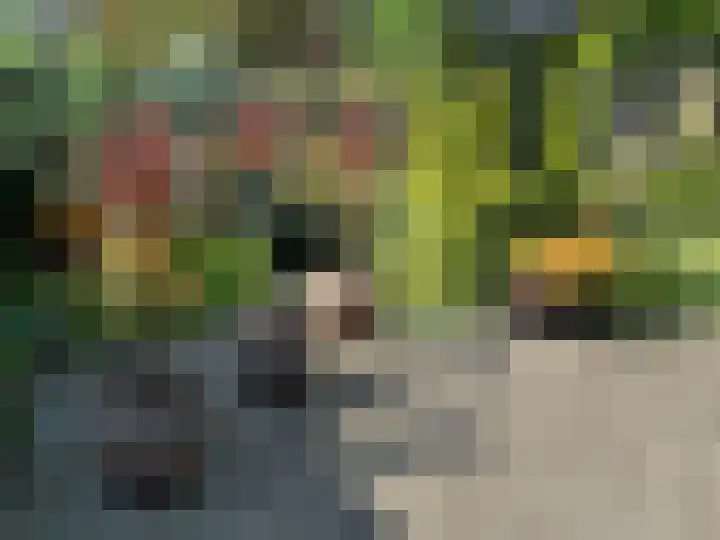 Gentiaan 6 Gendringen thumbnail 63