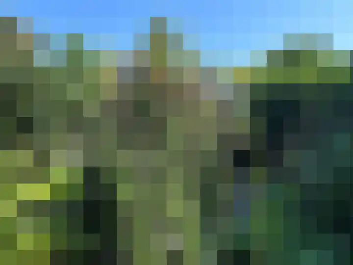 Gentiaan 6 Gendringen thumbnail 64