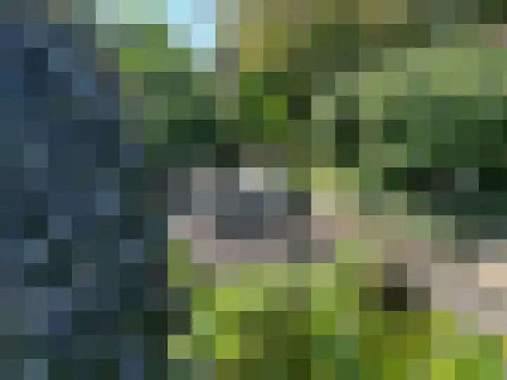 Gentiaan 6 Gendringen thumbnail 65