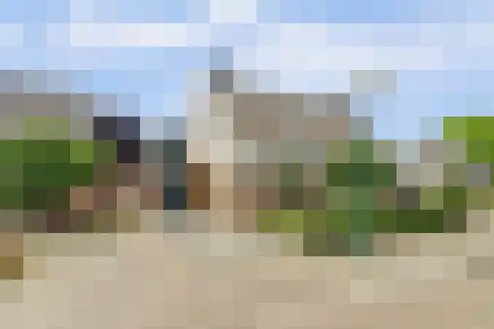 Gentiaan 6 Luyksgestel