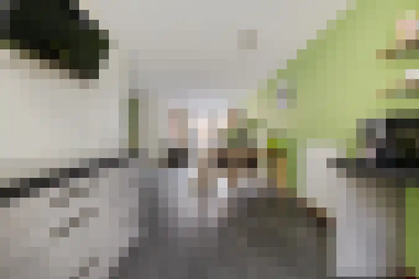 Gentiaan 6 Marknesse thumbnail 16
