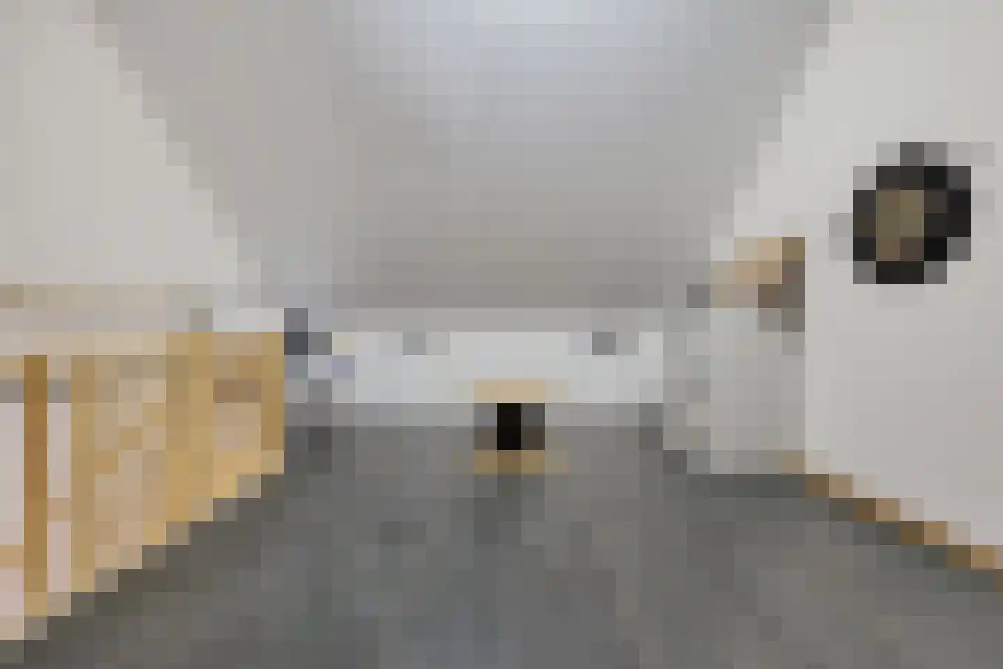 Gentiaan 6 Marknesse thumbnail 31