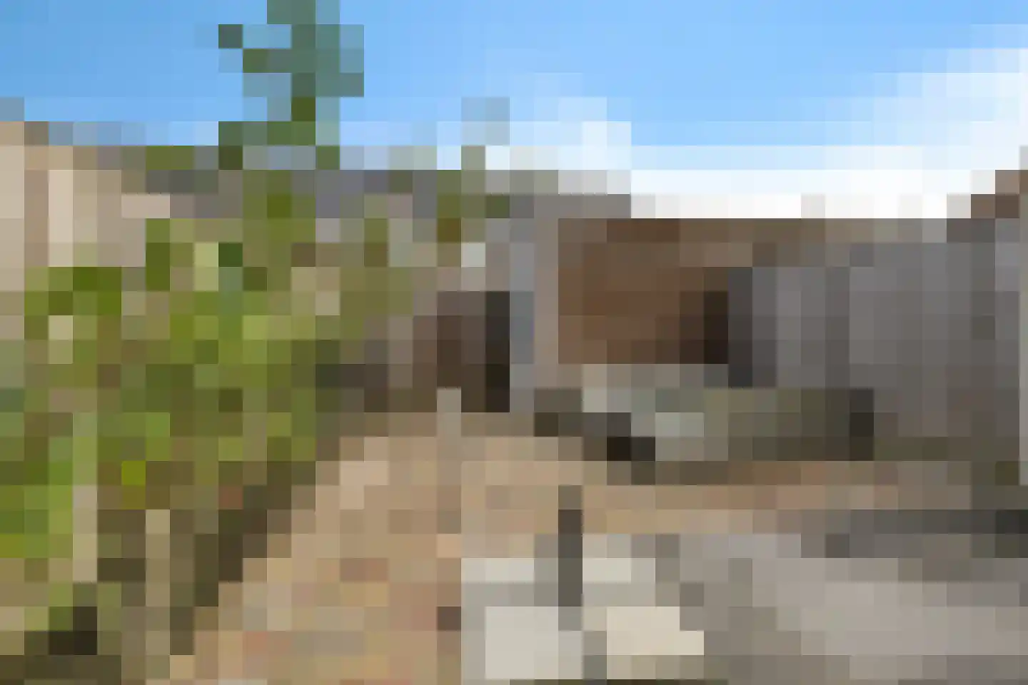 Gentiaan 6 Marknesse thumbnail 33