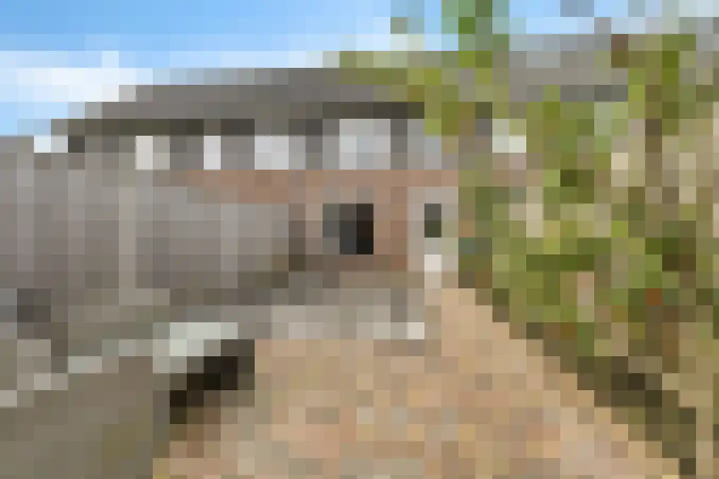 Gentiaan 6 Marknesse thumbnail 34