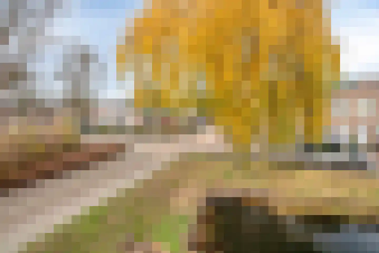 Gentiaan 6 Terheijden thumbnail 22