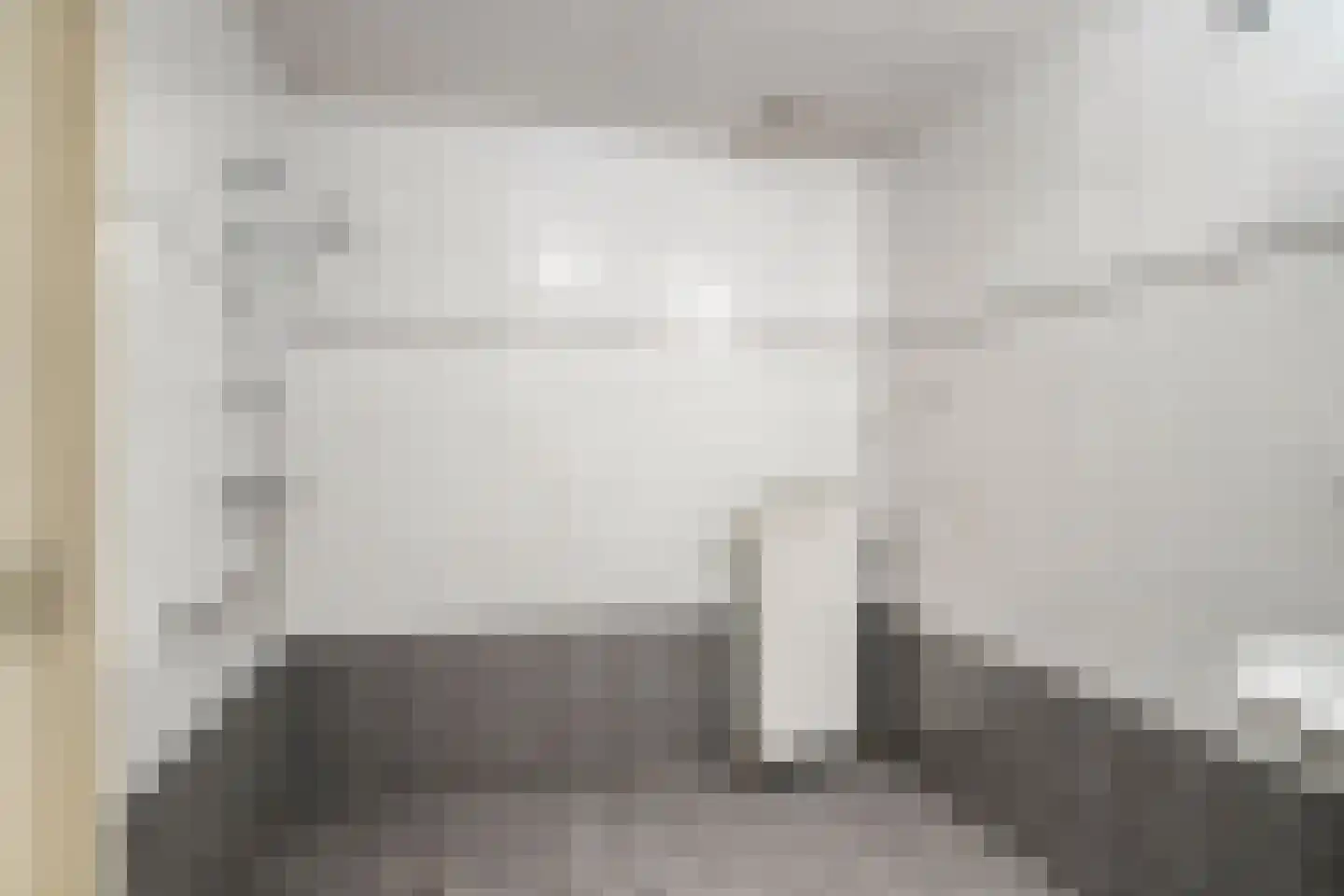 Gentiaan 6 Terheijden thumbnail 26
