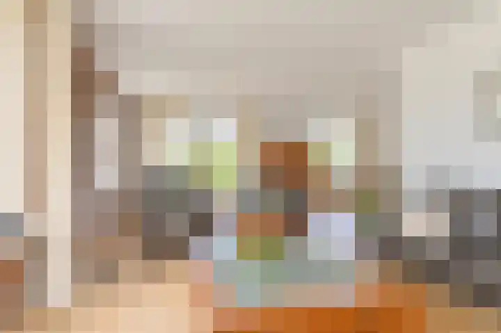 Gentiaan 7 Odoorn thumbnail 19