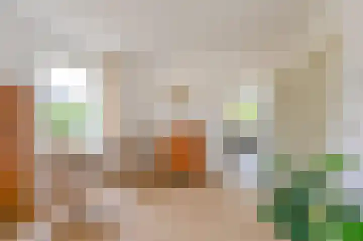 Gentiaan 7 Odoorn thumbnail 22