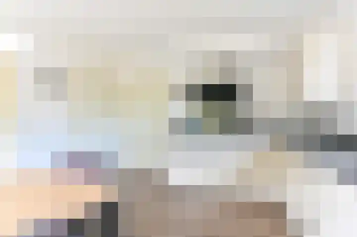 Gentiaan 7 Odoorn thumbnail 25