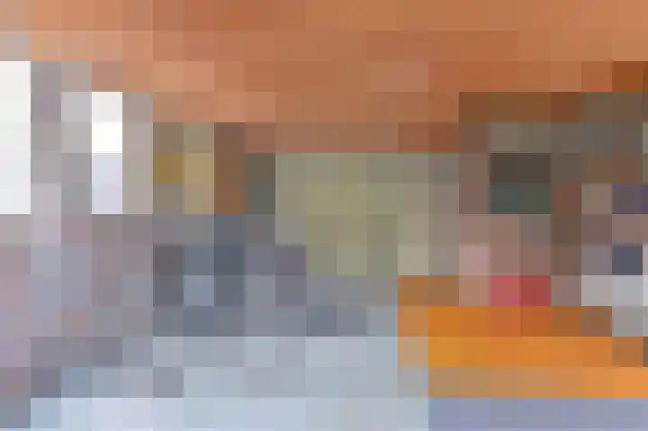 Gentiaan 7 Odoorn thumbnail 31