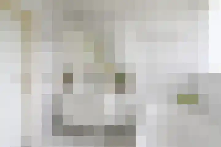 Gentiaan 7 Odoorn thumbnail 37