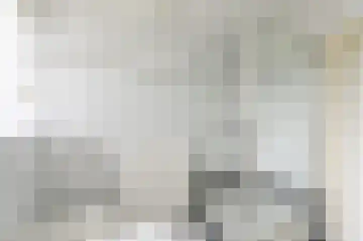 Gentiaan 7 Odoorn thumbnail 39