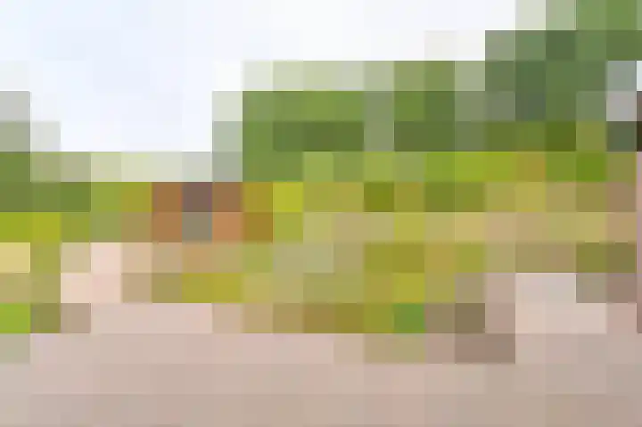 Gentiaan 7 Odoorn thumbnail 4