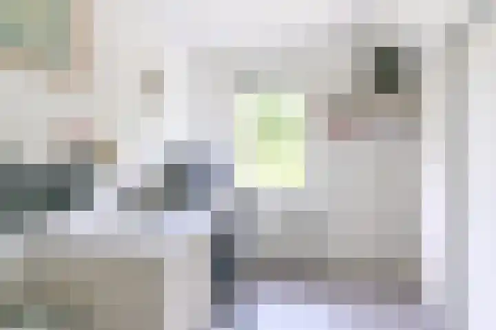 Gentiaan 7 Odoorn thumbnail 50