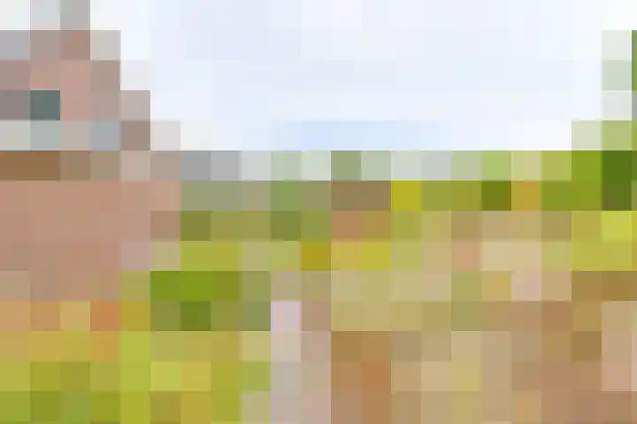 Gentiaan 7 Odoorn thumbnail 52