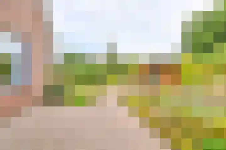 Gentiaan 7 Odoorn thumbnail 55