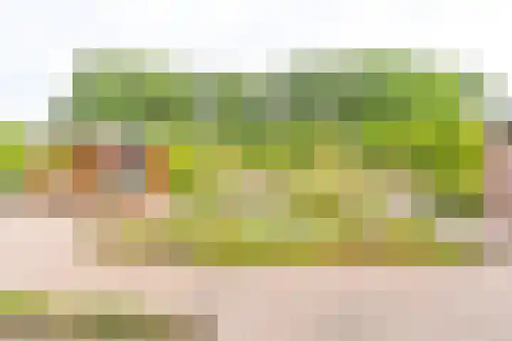Gentiaan 7 Odoorn thumbnail 57