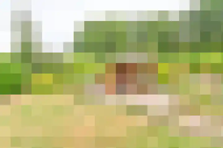 Gentiaan 7 Odoorn thumbnail 58