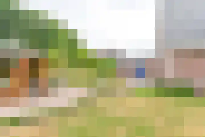 Gentiaan 7 Odoorn thumbnail 59