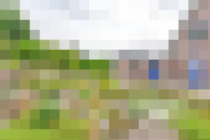 Gentiaan 7 Odoorn thumbnail 60