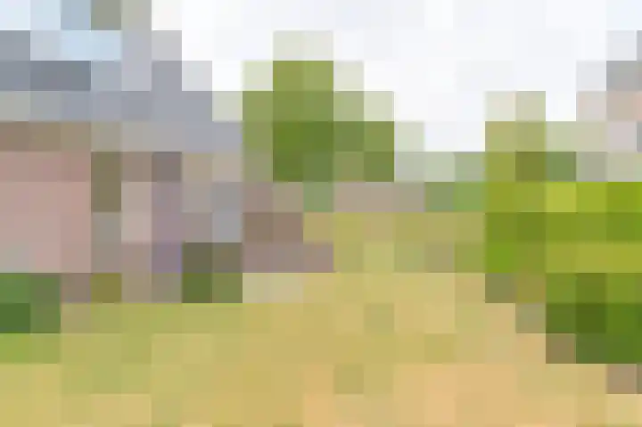 Gentiaan 7 Odoorn thumbnail 63