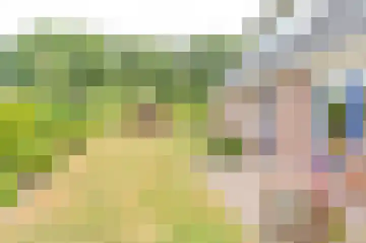 Gentiaan 7 Odoorn thumbnail 64