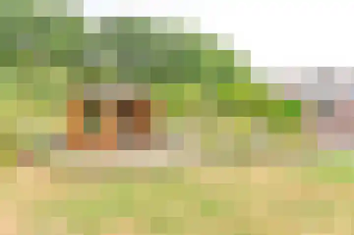 Gentiaan 7 Odoorn thumbnail 65
