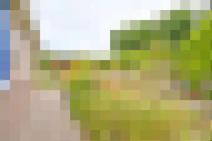 Gentiaan 7 Odoorn thumbnail 66