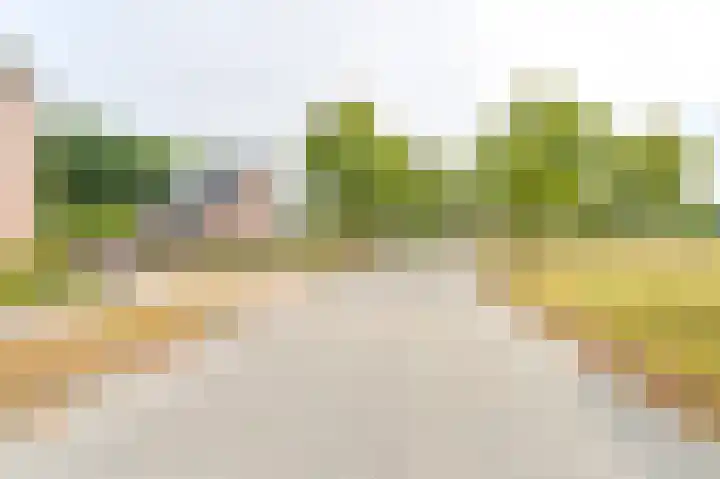 Gentiaan 7 Odoorn thumbnail 67