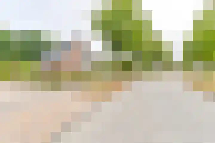 Gentiaan 7 Odoorn thumbnail 68