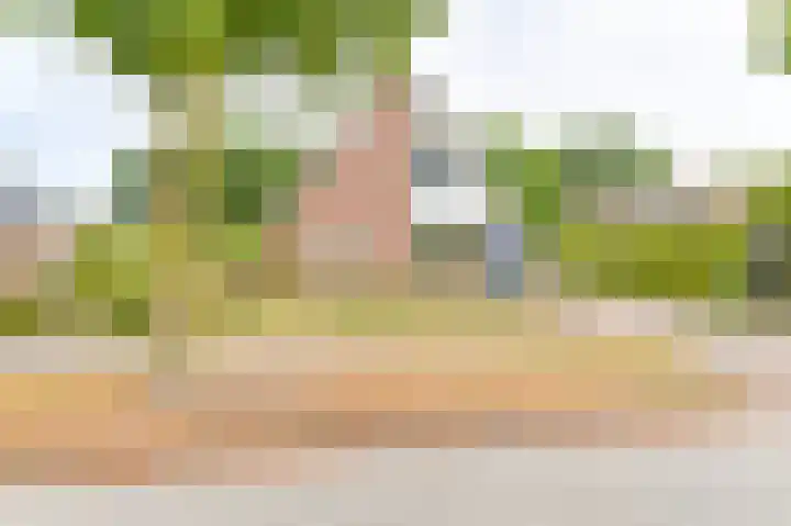 Gentiaan 7 Odoorn thumbnail 70