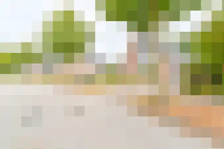Gentiaan 7 Odoorn thumbnail 71