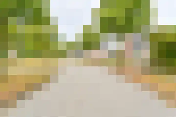 Gentiaan 7 Odoorn thumbnail 72